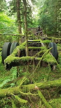 A car reclaimed by nature somewhere in France