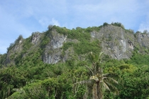 A cliff at the Guam National Wildlife Refuge northern Guam 