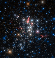 A cluster of stars named Westerlund  one of the most massive young star clusters known to reside in the Milky Way 