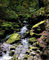 A creek in SwitzerlandKanton Schwyz OC 