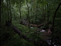 A creek in the twilight of a storm Cedar Creek Arkansas 