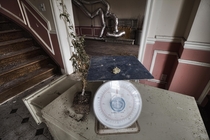 A Dead Marijuana Plant amp A Bad on a Scale Inside an Abandoned Grow Op Mansion 
