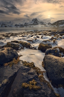A delicate layer of ice in a glowy sunset - Lofoten Norway - 