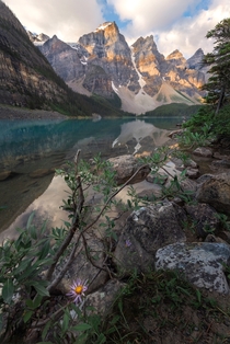 A Different View of Moraine Lake  x