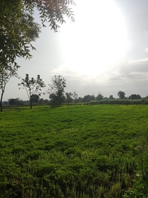 A farm in India  xpx
