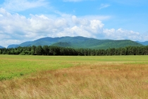A field just outside of Lake Placid NY 