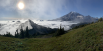 A foggy day in Mount Rainier National Park WA 