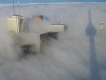 A foggy morning in Torontos financial district - from above 