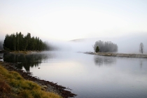 A foggy morning in Yellowstone National Park 