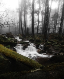 A foggy river in Great Smoky Mountains National Park 