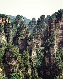 A Forest of Mountains in China  x