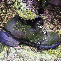 A forgotten boot