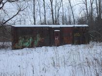 A Forgotten Railroad Car Quietly Nestled in a Forest as the Ages Pass Ontario Canada  OC