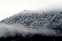 A frosty mountain forest in Switzerland Kanton Schwyz OC