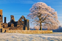 A frosty slightly snowy Bective Abbey County Meath Ireland 