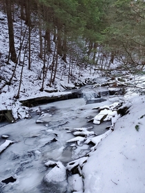 A frozen creek near Windsor NY 
