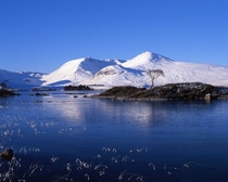 A frozen Loch na h-Achlaise Scotland - shot on Mamiya RB amp Velvia  