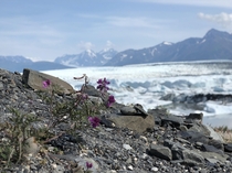A glacier in Alaska 
