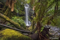 A glimpse of the beautiful Russell Falls in the Mt Field National Park in Tasmania Australia 