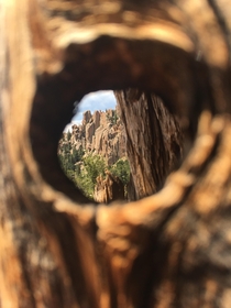 A glimpse of the crags Colorado through a hole in a tree 