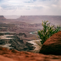 A glimpse of the Green River winding through Canyonlands National Park 