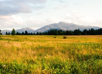 A Gorgeous Meadow- High Peaks Region Adirondacks NY 