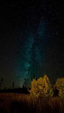 A gorgeous night with the Milky Way in Winter Park Colorado 