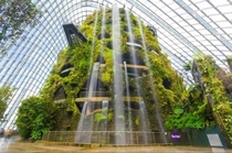 A great example of when nature is implemented into architecture The cloud forest in the Singapore Gardens by the Bay