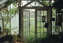 A greenhouse slowly being absorbed by nature 