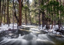 A gush of water rushing in a Yosemite stream Yosemite CA 