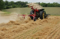 A Hay Rake in Action 