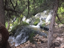 A high mountain stream near the Salmon River Idaho  x
