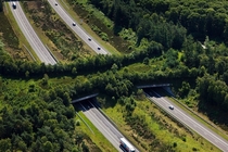 A Highway Ecoduct The Veluwe Netherlands 