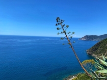 A hike in Cinque Terre Italy 