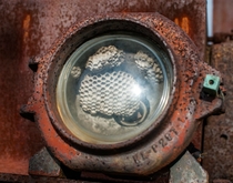 A Hive In the Lamp of An Abandoned Rail Car 