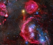 A -hour Exposure of Orion