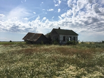 A house near Lepine Saskatchewan