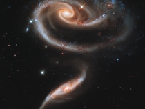 A large spiral galaxy known as UGC  with a disk that is distorted into a rose-like shape by the gravitational tidal pull of the galaxy below it UGC  