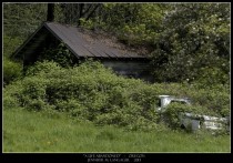 A Life Abandoned Scottsburg OR 
