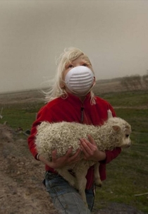 A little girl carrying a lamb to shelter from falling ash during Icelands  volcanic eruption