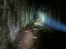 A look at Britains lost and abandoned Railway tunnels Viaducts and relics x OC