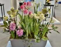 A Lovely Spring Planter - Canada Blooms Show  