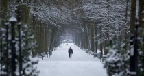 A man walks down a snow-covered path in a public park in Wilrijk Belgium 