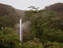 A Misty Afternoon - Akaka Falls Near Hilo Hawaii 