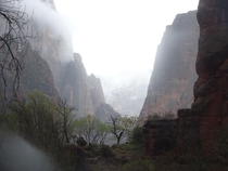 A Misty Day in Zion National Park 