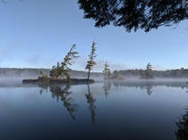 A misty morning in Algonquin Park Canada 