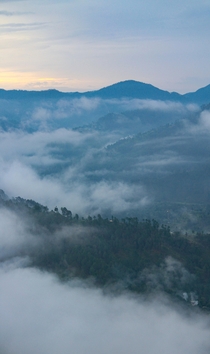 A misty morning in Almora India 