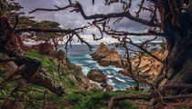 A moody afternoon at Point Lobos CA 