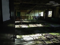 A Mossy Canteen In An Abandoned Factory 