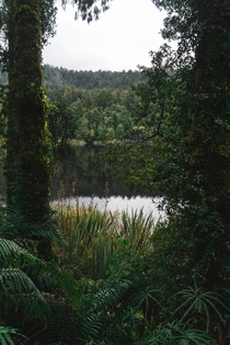 A natural window through the trees onto a lake in New Zealand 